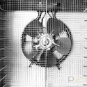 Dehydrator - suszarka do żywności 12-półkowa Dehydrator - suszarka do żywności 12-półkowa